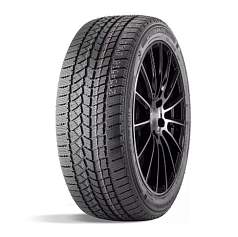 Зимние шины 245/55 R19 Doublestar DW02 103T 